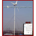 600W horizontal-axis wind generator